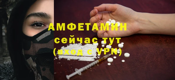 амф Краснослободск