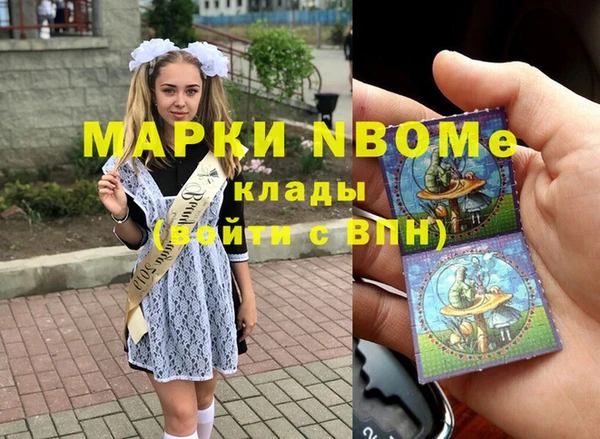 амф Краснослободск