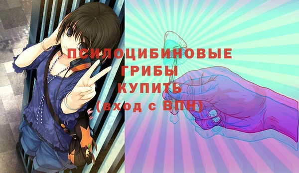 амф Краснослободск