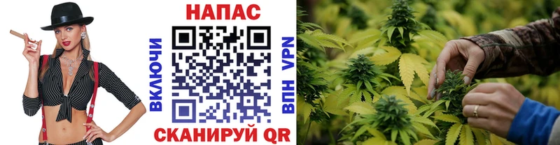 Купить где  Калач  Каннабис конопля 